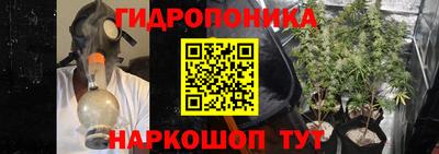 метадон Новодвинск