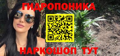 бошки Новокубанск