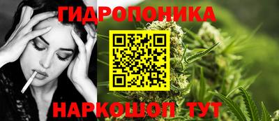 метадон Новодвинск