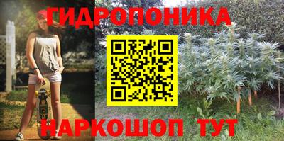 марихуана Новозыбков