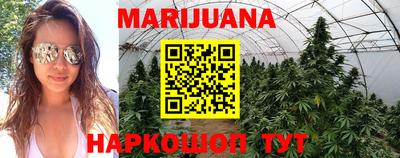 марихуана Новозыбков