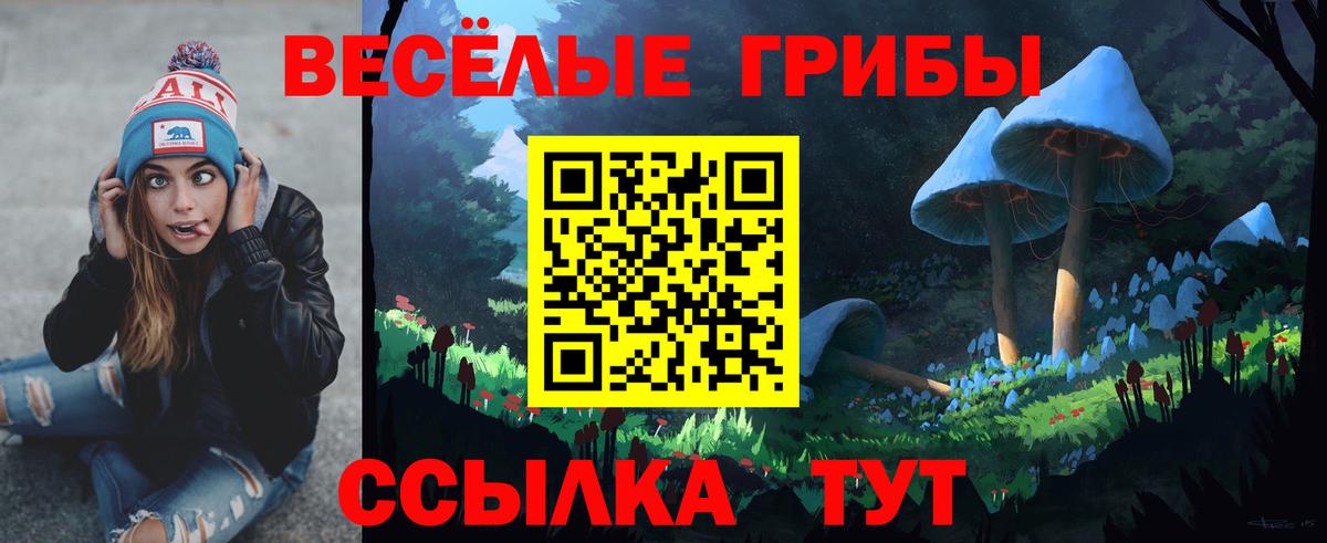Псилоцибиновые грибы прущие грибы  Вход с VPN  Сухой Лог 